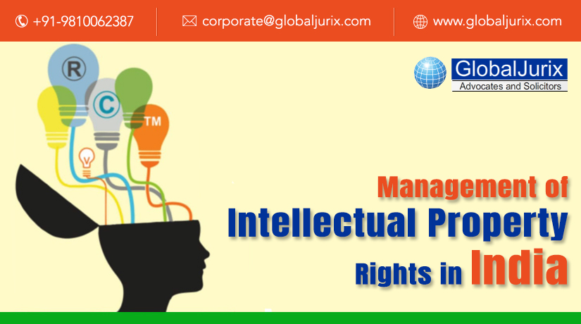 Management of Intellectual Property Rights